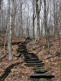 Near End of Moose Pond Trail 4-25-10-ed-pf.jpg