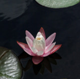 pf_from_2_5_16