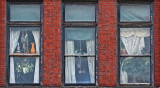 Windows - Bangor 11-4-12-ed-pf.jpg