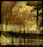 Window Bangor 4-11-12-ed-pf.jpg