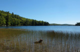 Kelley - Spring River Lake 9-22-16-pf.jpg