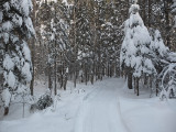 Glenburn Trails 1-2-17.jpg