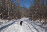 Kelley - Paul Bunyan Along Kenduskeag c 1-8-17.jpg