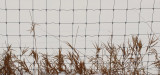 Fence and Grasses  PB Snowmobile Trail 1-1-17.jpg