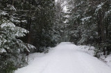 Logan Rd. DeMeritt Forest 1-20-17.jpg