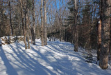 N. Headwaters Trail Sheepscot Headwaters b 2-4-17.jpg