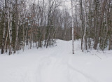 Trail Along Kendusleag 2-15-17.jpg
