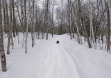 Trail Along Kendusleag c  2-15-17.jpg