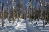 Side Trail Dover-Foxcroft b 2-17-17-pf.jpg