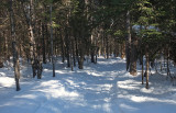 Glenburn Snowmobile Trail 2-21-17.jpg