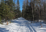 Glenburn Snowmobile  Trail  b 2-21-17.jpg