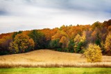 Fall from the Ridge Road