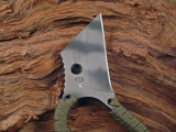 DSC04276.JPG