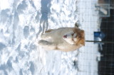 DSC_1532.JPG