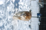 DSC_1533.JPG