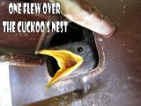 One Flew Over the Cuckoos Nest.jpg