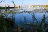Waters Edge.jpg