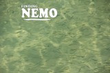 Finding Nemo.jpg