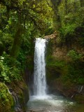 Costa Rica Waterfall.jpg