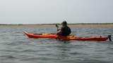 IMG_0029.jpg