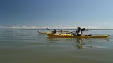 P8120105.jpg