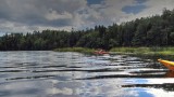 P8160216_tm.jpg