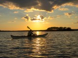 IMG_8335.jpg