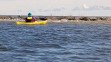 IMG_8505 - Version 2.jpg