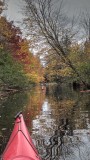 PA110046.jpg