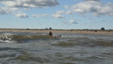P9030049.jpg