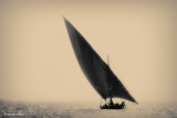 Sailing | North Coast of Egypt