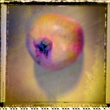Pomegranate | Still Life