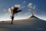Balteem Coast - North of Egypt