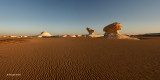 Desertscape 1