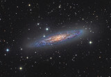Sculptor Galaxy Deep Field - 2013 Astronomy Photographer of the Year