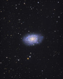 NGC 7793 in Sculptor
