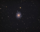 NGC 1232 in Eridanus Full Frame
