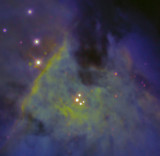The Trapezium in the Orion Nebula