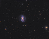 NGC 1300 Full Frame