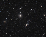 NGC 6872 The Condor Galaxy and her flock