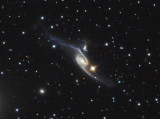 NGC 6872 and Galaxy Cluster in Pavo