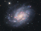 NGC 300 an Island in the sky
