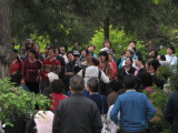 Jingshan Park