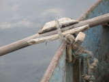 Dali - Cormoran Fishing, Erhai lake