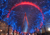 1012 London Eye & Blossom