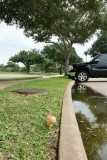 A UNIQUE ANGLE