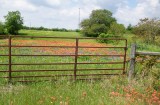 Rusty Gate