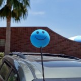 Blue Smiley