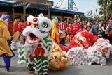 Lion Dancers