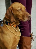 Mardi Gras Reveler